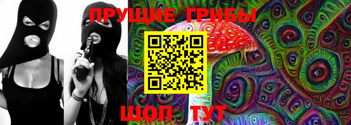Гулькевичи  Псилоцибиновые грибы Psilocybe  Вход с VPN 