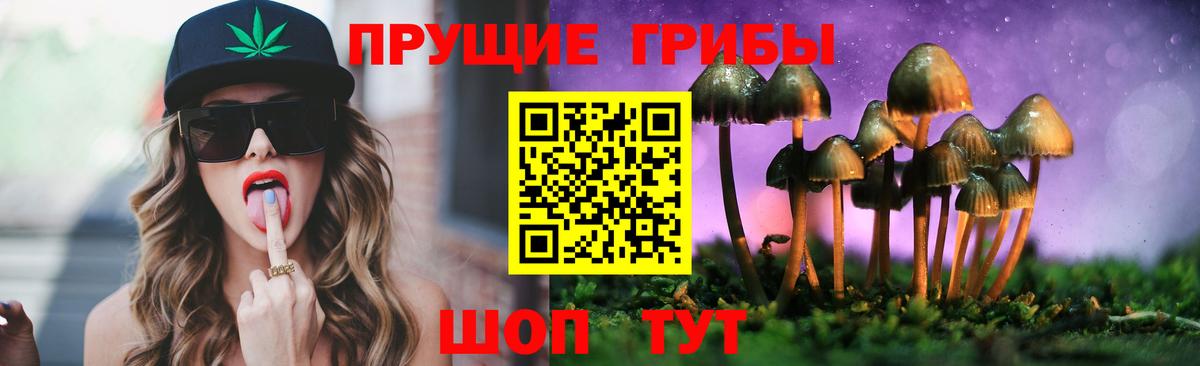 Галлюциногенные грибы Magic Shrooms Гулькевичи
